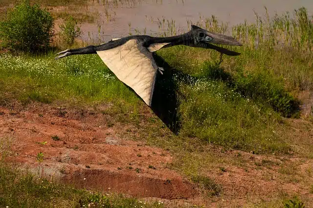Qué características y definición tiene el pterodáctilo