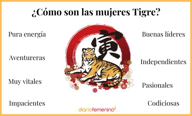 Qué Características y Secretos Deberías Conocer Sobre el Tigre