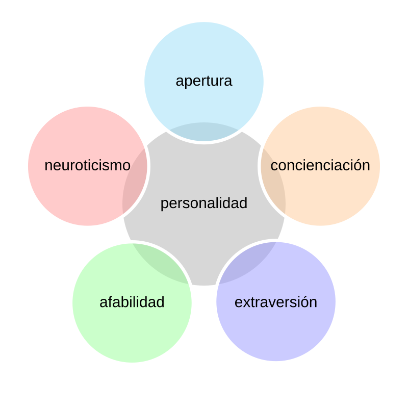 Qué conceptos, tipos y ejemplos son clave en la descripción