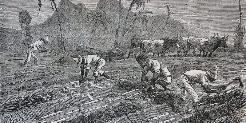 Qué conceptos y características definen la economía colonial en Latinoamérica