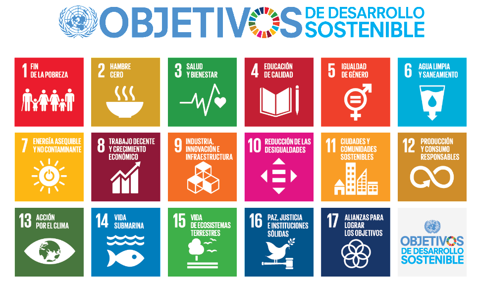 Qué define el bienestar social que transforma vidas