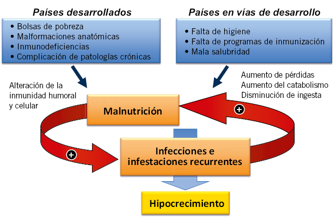 Qué definiciones y tipos de crecimiento deberías conocer