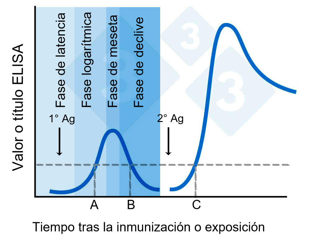 Qué ejemplos clave de antígenos deberías conocer y por qué