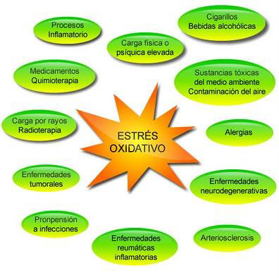 Qué elementos son esenciales en una monografía Descúbrelo aquí
