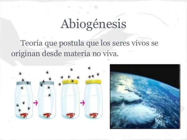QUÉ ES: DEFINICIÓN y TEORÍA en BIOLOGÍA ¡Descúbrelo!