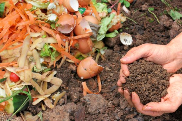 Qué es el abono orgánico y cuáles son sus ejemplos comunes