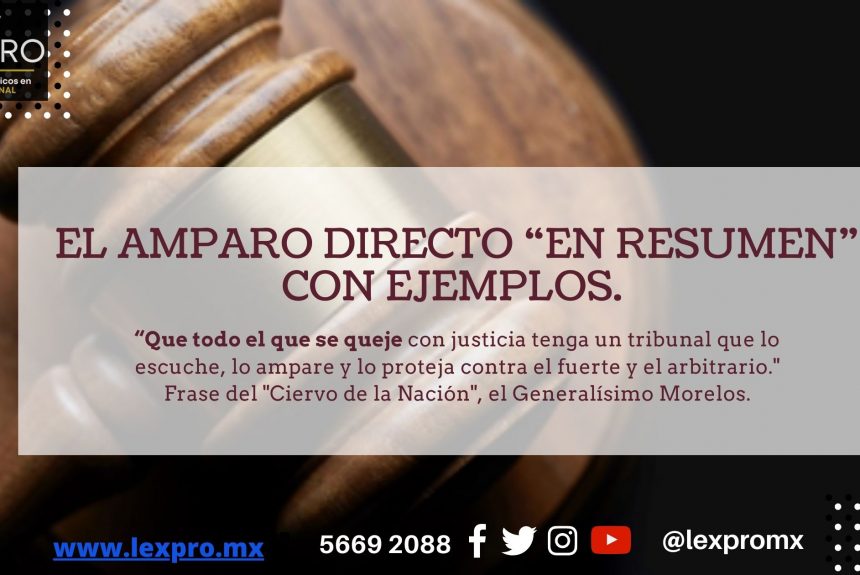 Qué es el amparo y cuál es su significado clave en el derecho