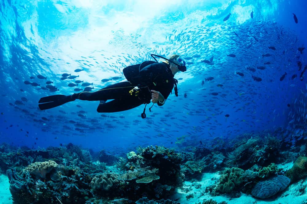 Qué es el buceo Definición y concepto esencial explicado
