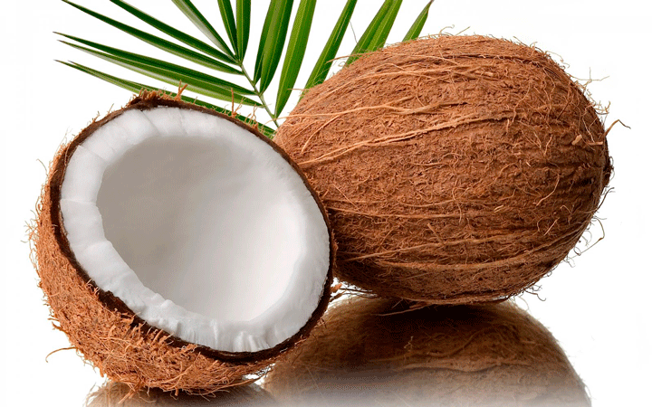 Qué es el coco y cuáles son sus principales usos y beneficios