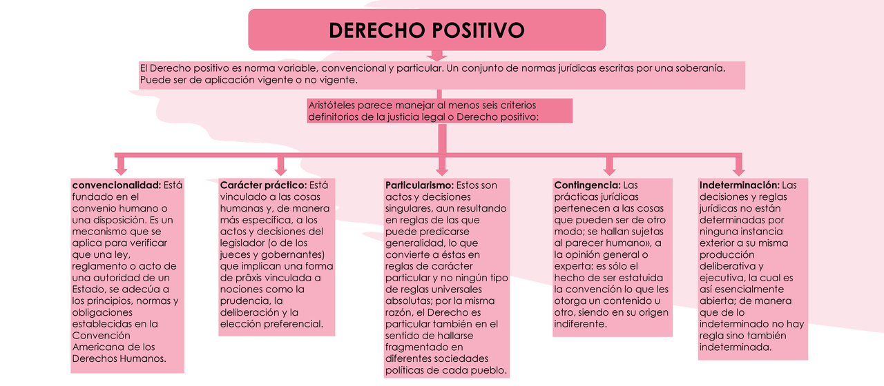 Qué es el derecho positivo, cuáles son sus ramas y características