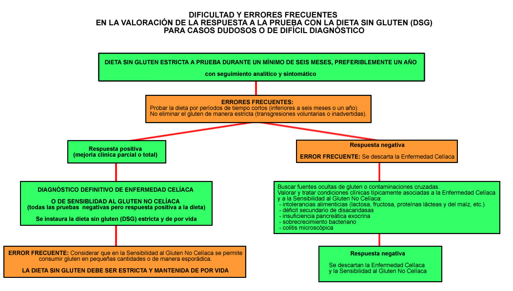 Qué es el gluten y por qué considerar una dieta sin él