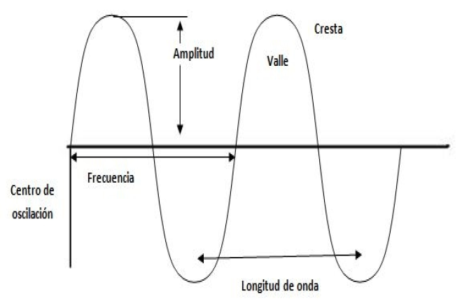 Qué es el movimiento ondulatorio y cuáles son sus características