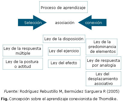 Qué es el neoconductismo y cuáles son sus claves esenciales
