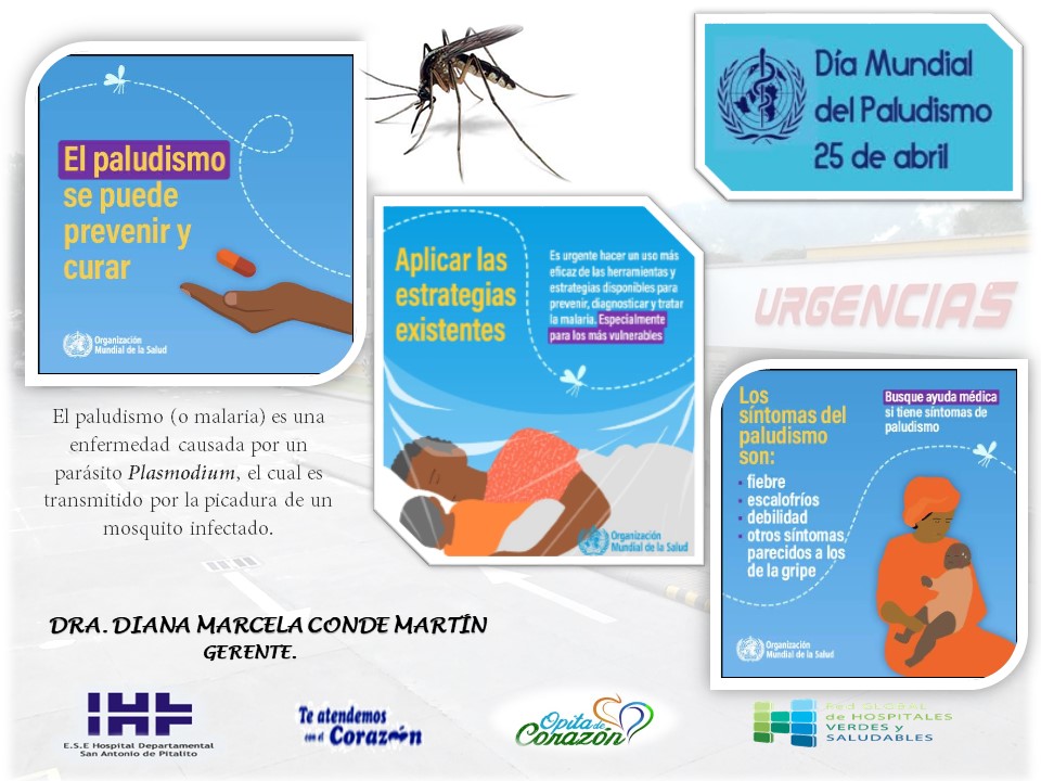 Qué es el paludismo y cómo se puede prevenir eficazmente