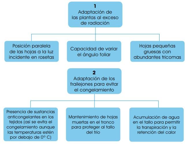 Qué es el páramo y cuáles son sus definiciones y tipos esenciales