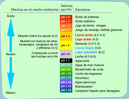Qué es el pH, cómo se mide y cuáles son ejemplos claros