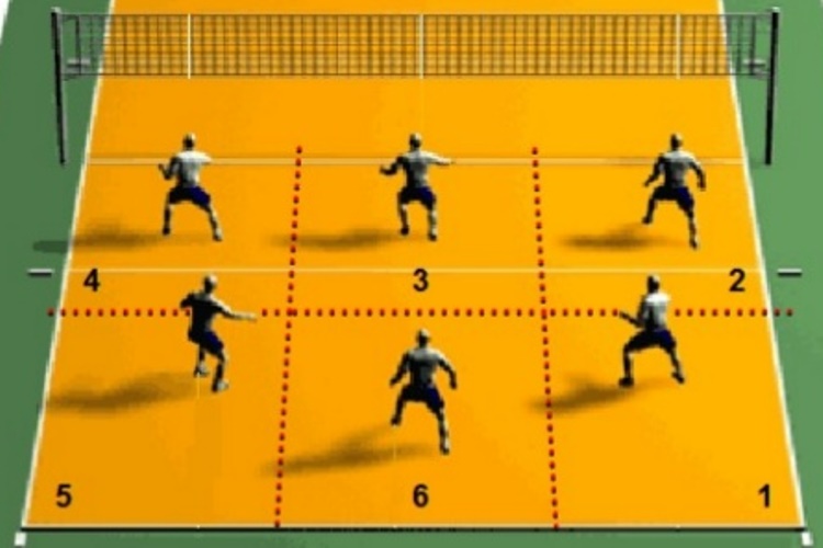 Qué es el voleibol y cuáles son sus conceptos y posiciones clave