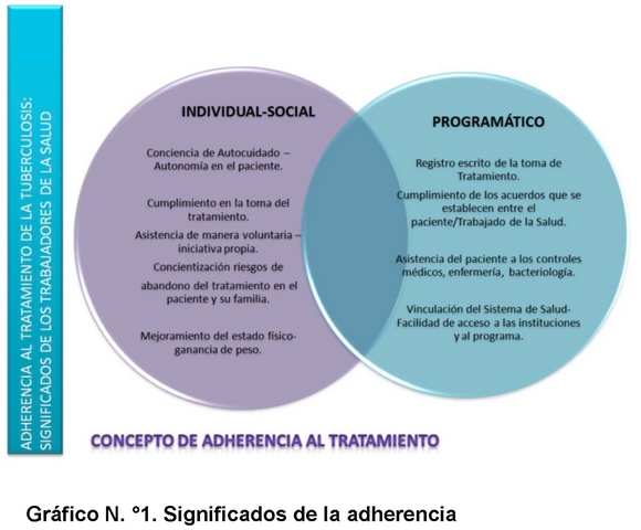 Qué es la adhesión y su significado en distintos contextos