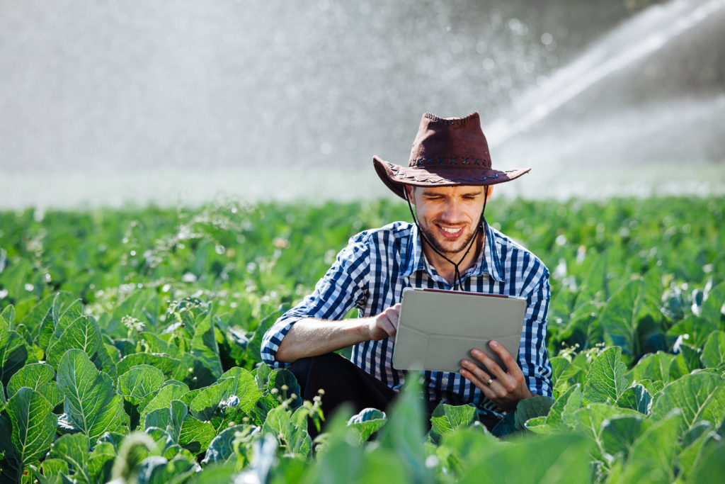 Qué es la agroindustria y cuáles son sus ejemplos más clave