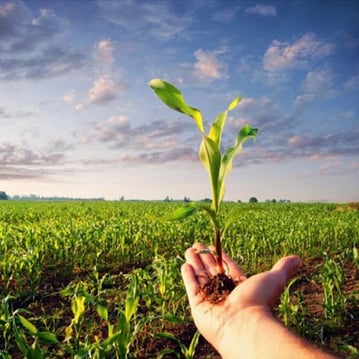 Qué es la agronomía, su historia y ramas menos conocidas