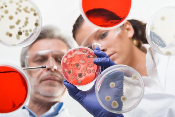 Qué es la Biología Celular y cuáles son sus aplicaciones