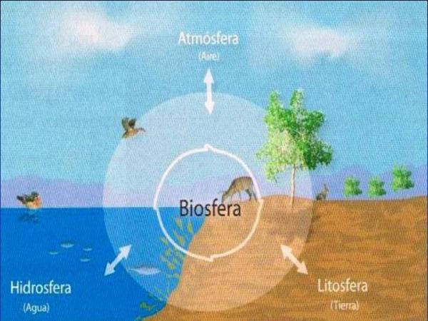 Qué es la biosfera, cuáles son sus capas y su importancia