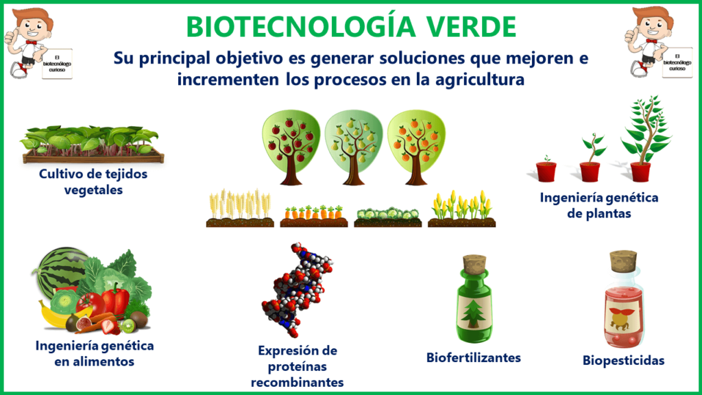 Qué es la biotecnología, sus tipos y principales ventajas