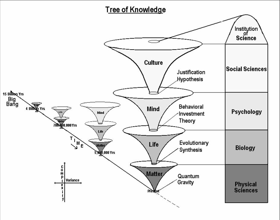 Qué es la ciencia, cuáles son sus tipos y su historia