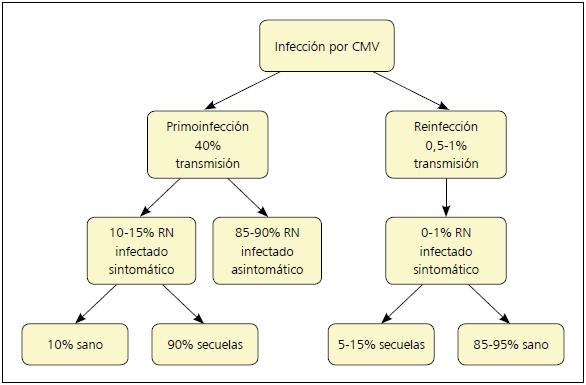 Qué es la definición esencial de INFE cT en infectología