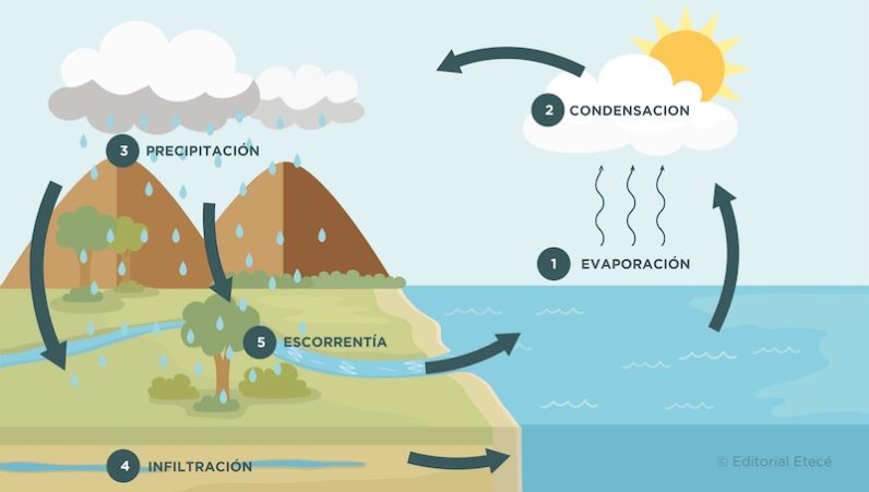 Qué es la evaporación y cómo entenderla con ejemplos prácticos