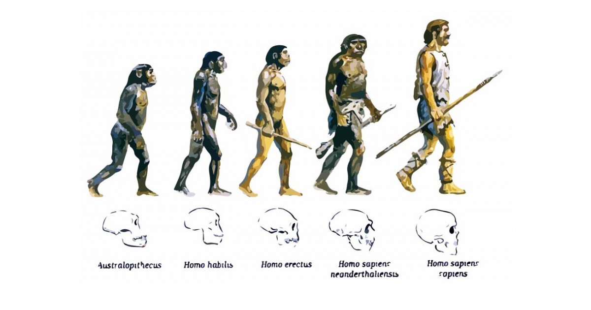 Qué es la evolución biológica y cómo se desarrolla en la naturaleza