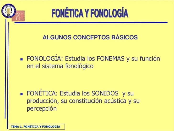 Qué es la fonética y cuáles son sus funciones en el lenguaje