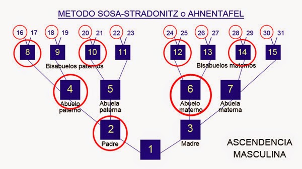 Qué es la genealogía y cuál es su significado detallado