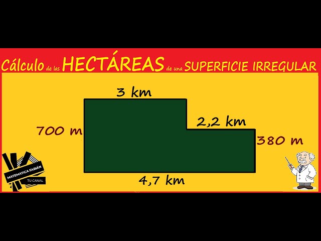 Qué es la hectárea y por qué es esencial para medir terrenos