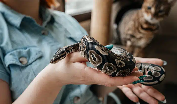 Qué es la herpetología y por qué es importante en la ciencia