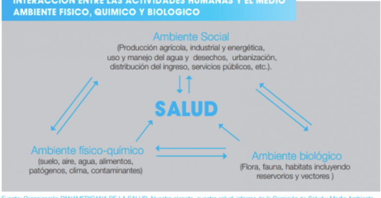 QUÉ ES LA INSALUBRIDAD Y POR QUÉ ES IMPORTANTE PARA TU SALUD