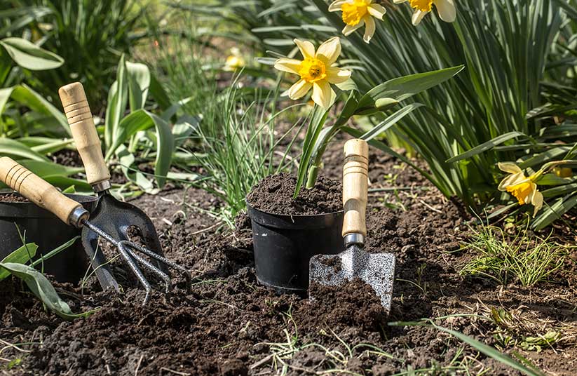 Qué es la jardinería y cuál es su concepto esencial