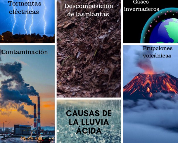 Qué es la lluvia ácida y cuáles son sus causas y efectos