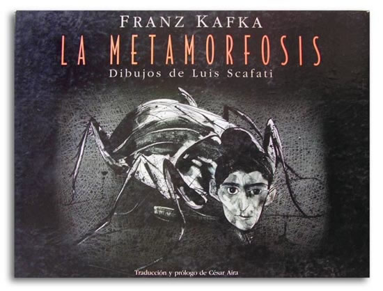 Qué es la metamorfosis y qué ejemplos son esenciales conocer