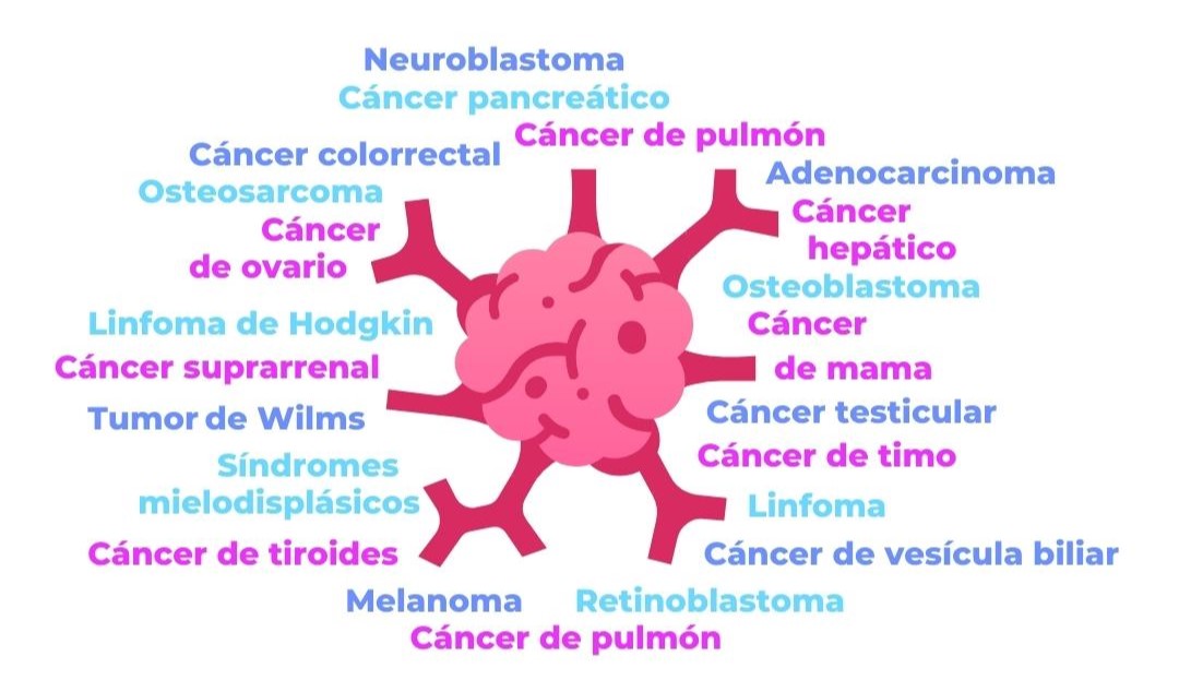 QUÉ ES LA ONCOLOGÍA, CUÁLES SON SUS RAMAS Y SU IMPORTANCIA