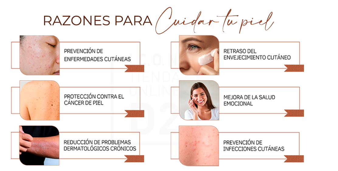 Qué es la piel y por qué es vital para tu salud y bienestar