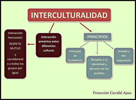 Qué es la pluriculturalidad y cuáles son sus características clave