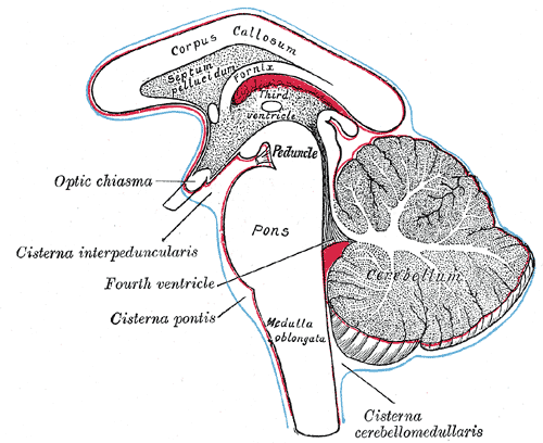 Qué es la protuberancia anular y cómo se puede definir fácil