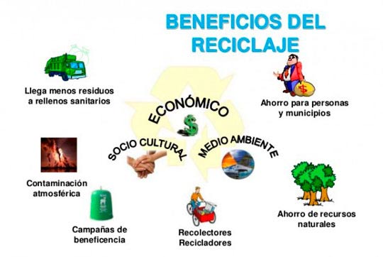 Qué es la recolección y por qué es esencial para nosotros