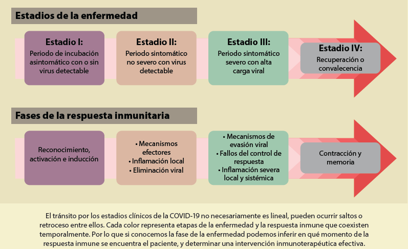 Qué es la respuesta inmunitaria y cuáles son sus características