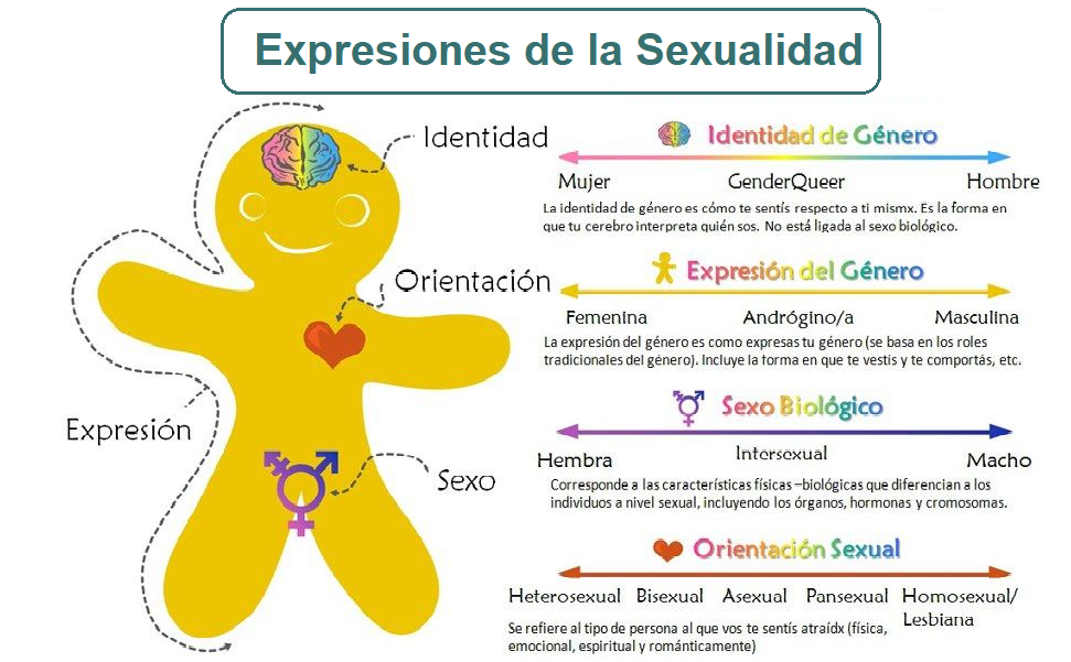 Qué es la sexualidad y cuáles son sus definiciones clave