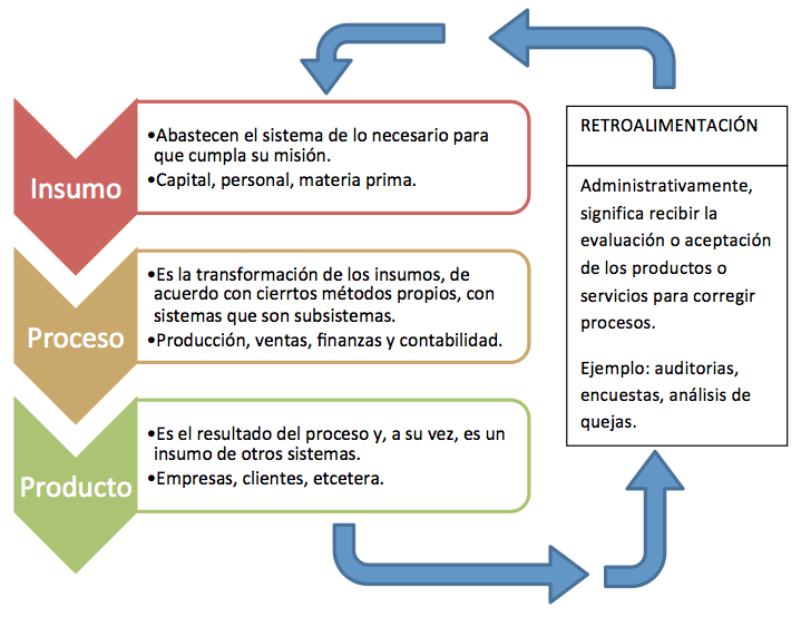 Qué es la sistemática y cuáles son sus principales escuelas