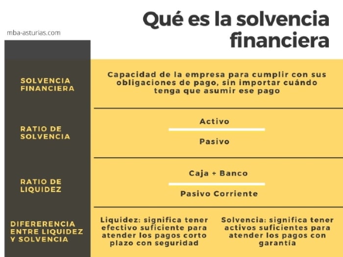 Qué es la solvencia y por qué es importante en finanzas
