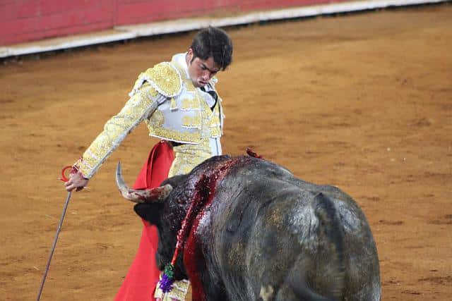Qué es la tauromaquia, su historia y cuáles son sus críticas