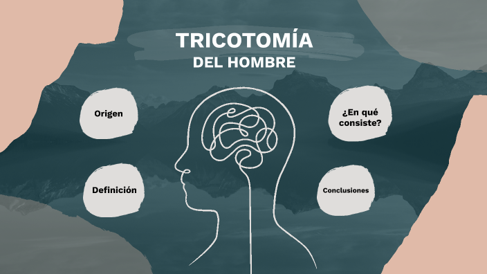 Qué es la tricotomía y cuáles son su definición y clasificación
